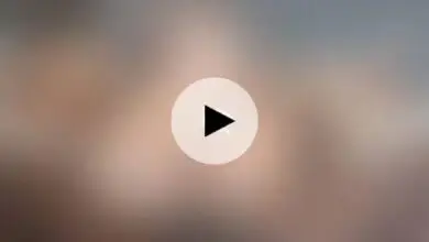 فيديو سكس عصام صاصا وجهاد