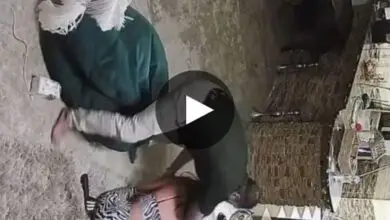 سكس هدير عبد الرازق الجديد